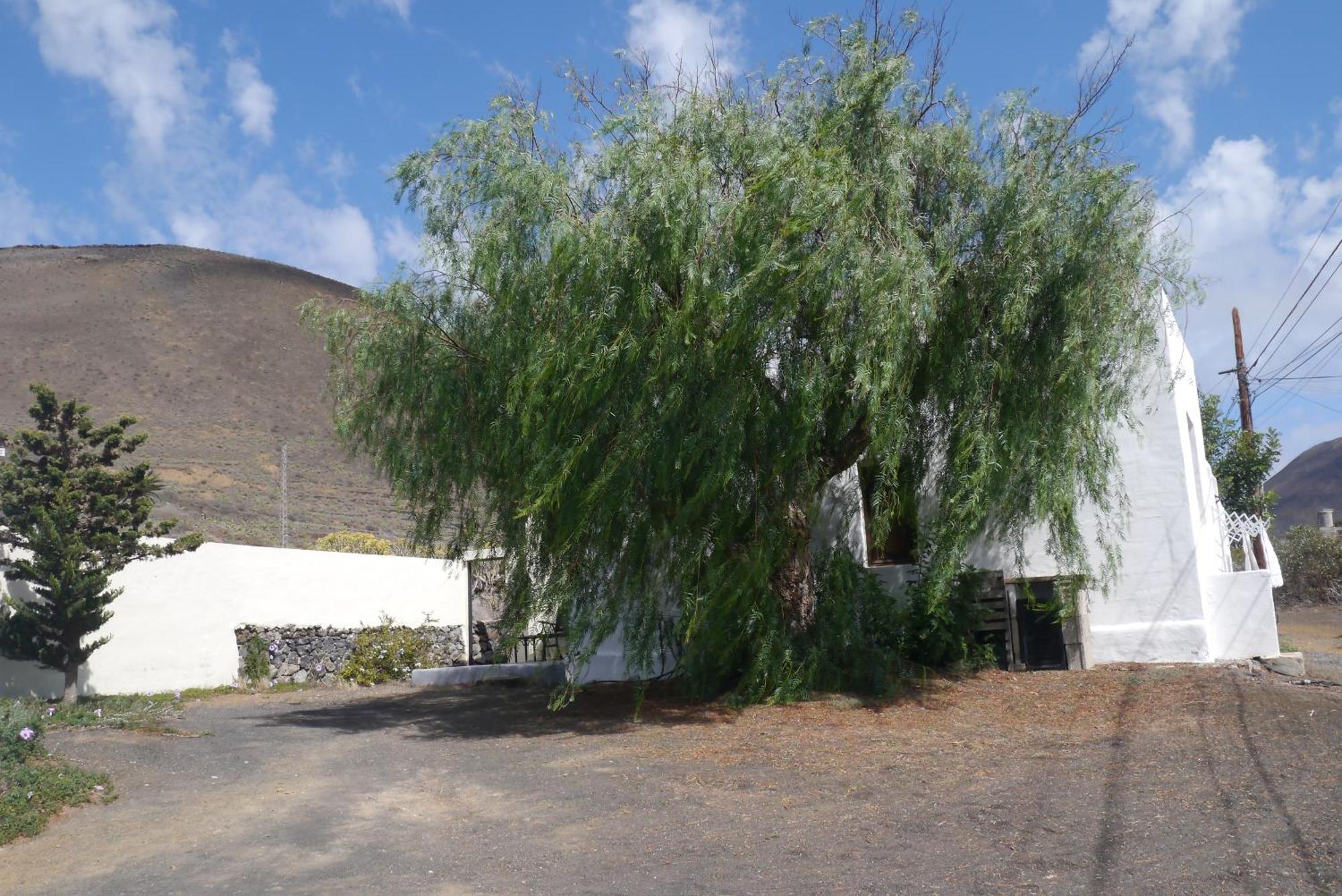 Casa Olga Villa Maguez Exterior photo